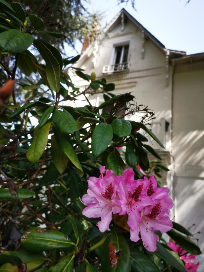 Chambres D'Hotes La Maison Blanche Saint-Junien Εξωτερικό φωτογραφία